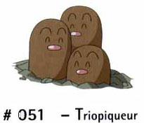 N 051 Triopikeur